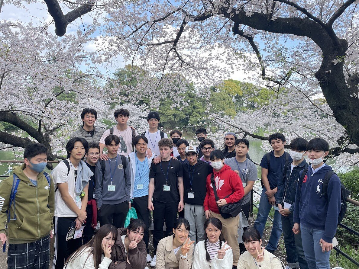 EduAbroad group with Japanese friends under the cherry blossoms