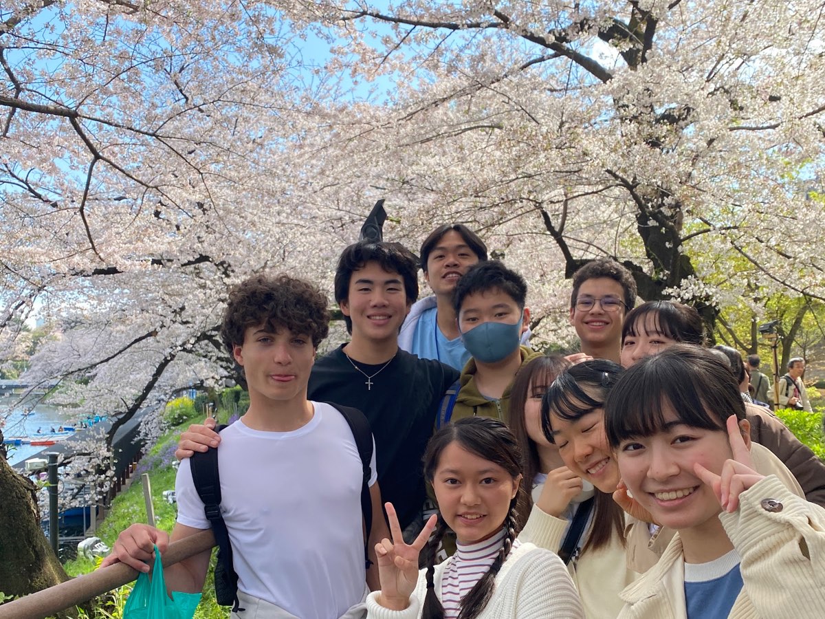 An EduAbroad student and her Japanese friends beneath the cherry blossoms