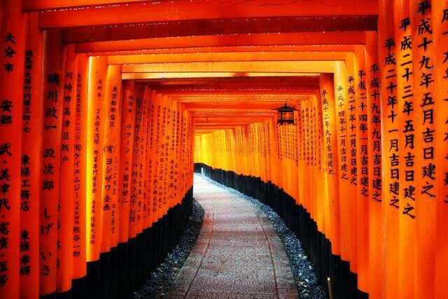 The vermillion torii gate path at Fushimi Inari