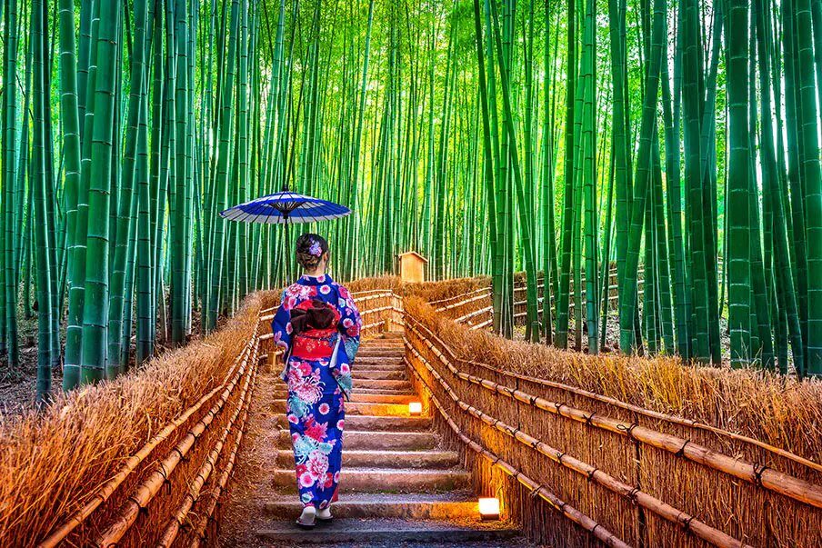 A kimono-clad walk through the Arashiyama bamboo grove