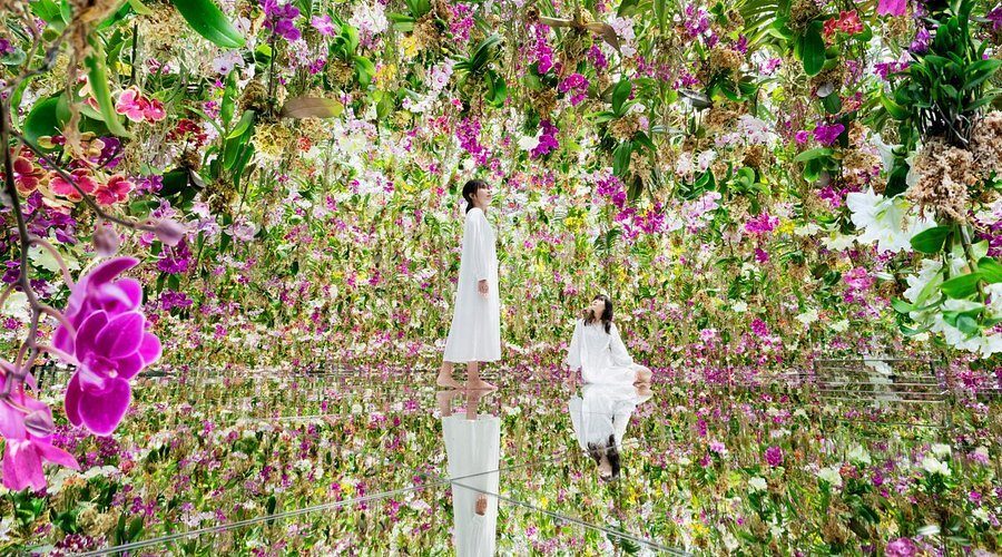 TeamLab's immersive floating flower garden